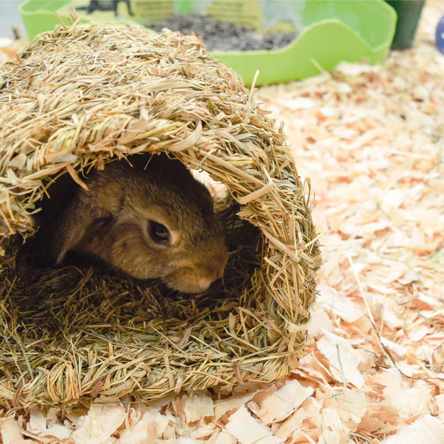 Small Animal Grassy Tunnel