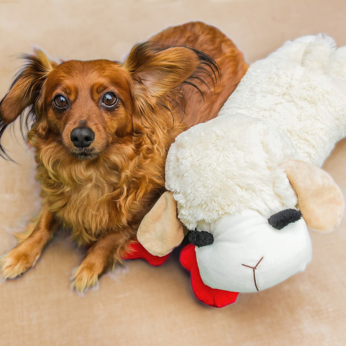 Lamb Chop Soft Dog Toy