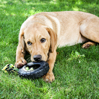 Grrrelli Tyre Tugger Tough Dog Toy