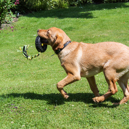 Grrrelli Tyre Tugger Tough Dog Toy